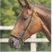drop noseband_01
